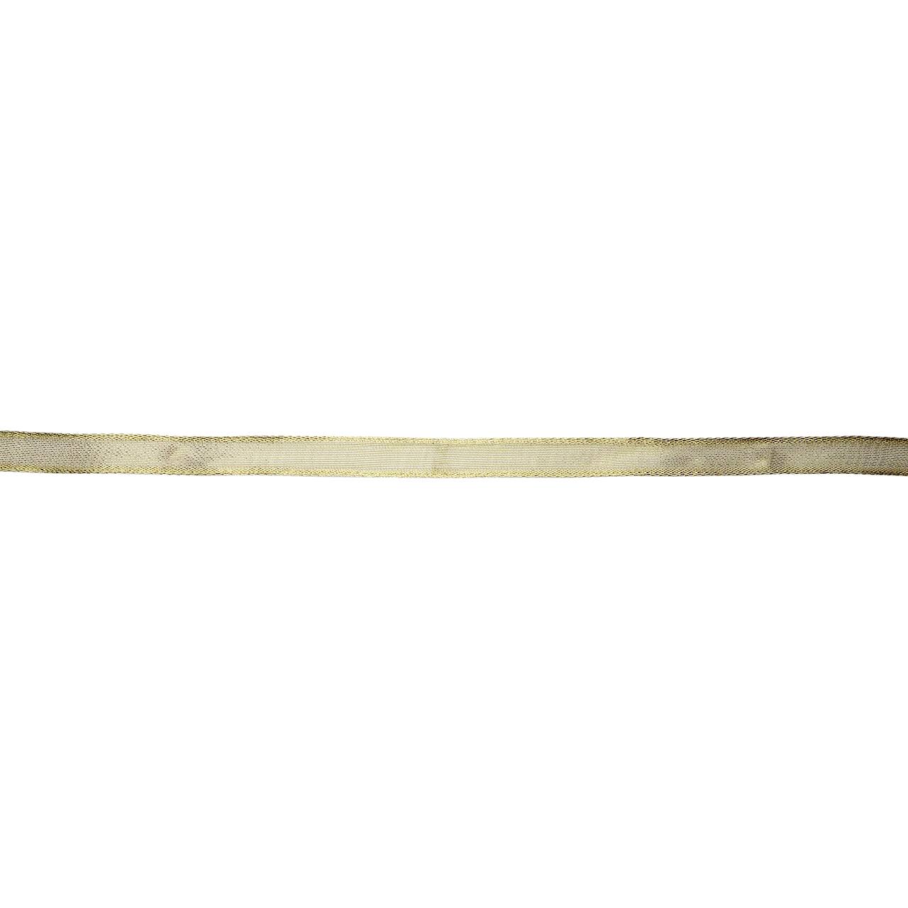 Ruban diaphane métallique avec fil de fer de Celebrate It, 0,9 cm x 4,6 m